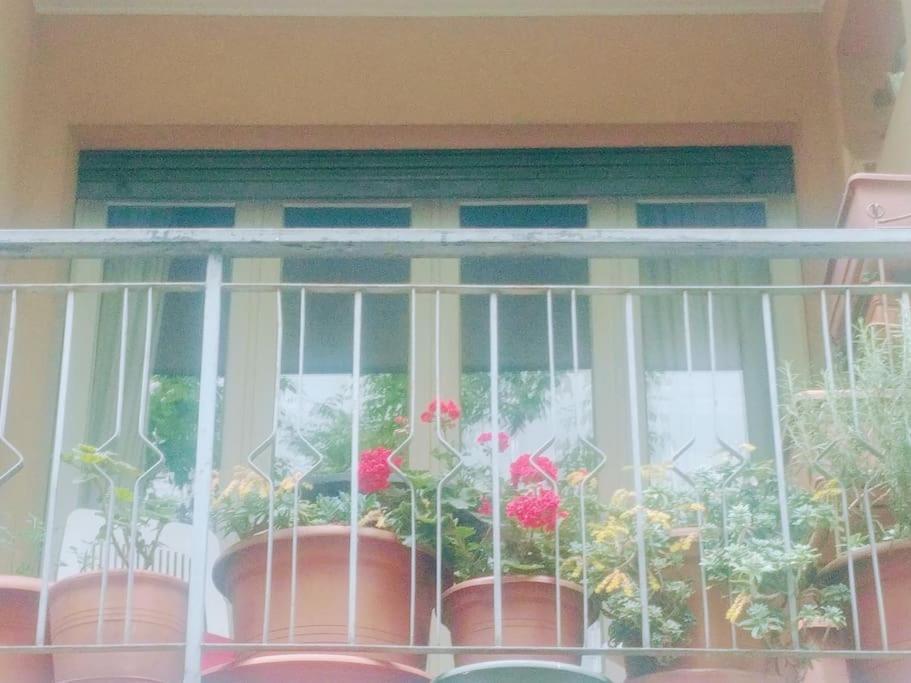 Ampi Spazi, A Piedi In Centro. Apartment Тревизо Екстериор снимка